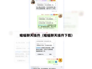 蝙蝠聊天插件（蝙蝠聊天插件下载）