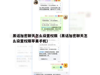 黑话加密聊天怎么设置权限（黑话加密聊天怎么设置权限苹果手机）