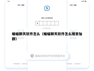 蝙蝠聊天软件怎么（蝙蝠聊天软件怎么搜索加群）