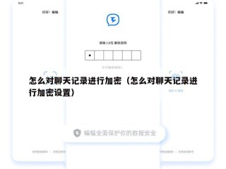 怎么对聊天记录进行加密（怎么对聊天记录进行加密设置）