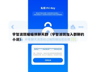 宇智波斑蝙蝠侠聊天群（宇智波斑加入群聊的小说）